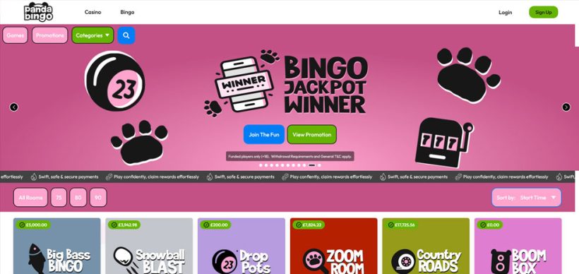 Panda Bingo Screenshot